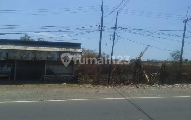 Dijual Murah Tanah Kosong 17.880 m2 di Jalan raya cirebon - losari