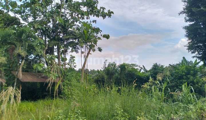 Tanah Di Jalan Utama Tanah Merah