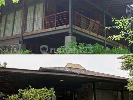 Rumah Joglo Back To Nature Di Jagakarsa Dkt Ke Tol Andara Brigif