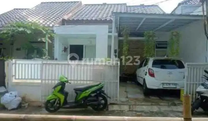 Beautiful Affordable House With 85 Wide Swimming Pool New Land Depok