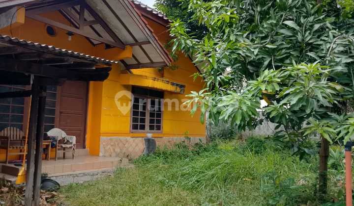 Rumah Hitung Tanah Luas 661 Jalan Depan Rumah Pruis Matoa Kahfi 1