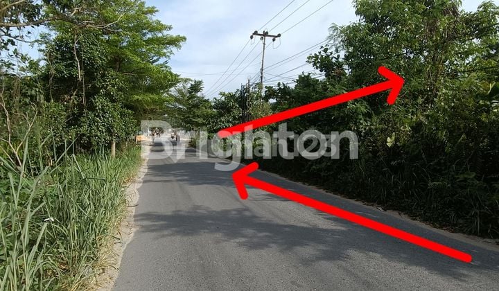 Tanah Strategis Tepi Jalan Aspal