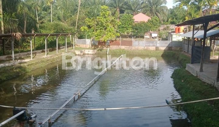 Tanah +Bangunan + Kolam Ikan