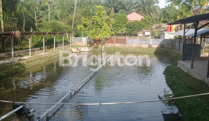 Tanah +Bangunan + Kolam Ikan