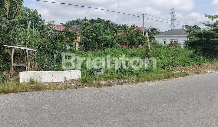 tanah pinggir jalan di rejosari