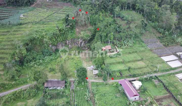 Tanah 1560sqm Bedugul Bali Zona Kuning View Lembah Jalan 4 Meter