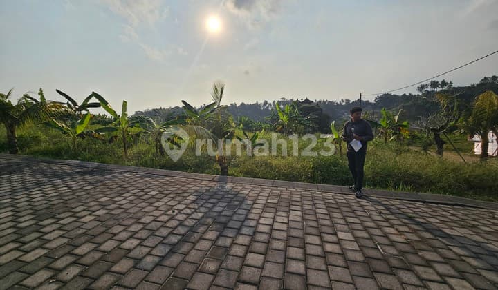 Tanah 110 Sqm Tabanan Kutuh Jalan 14 Meter 40 Menit Canggu