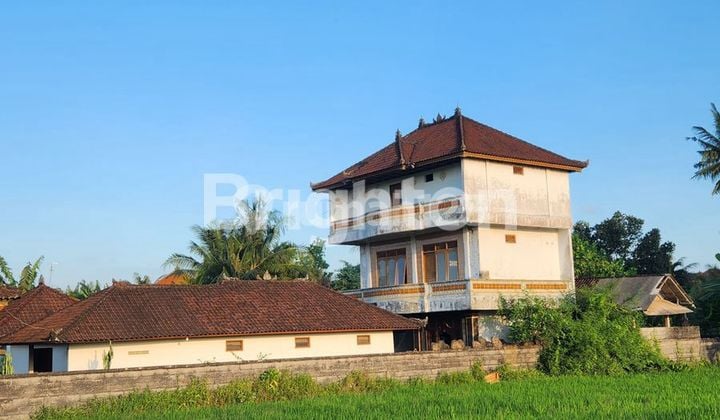 tanah murah bonus Rumah Bali Dekat Ubud Tanah Luas 940 M2