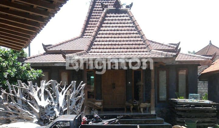 Rumah Kayu 3br+1 Kerobokan Lease Hold 3 Tahun Dekat Slk