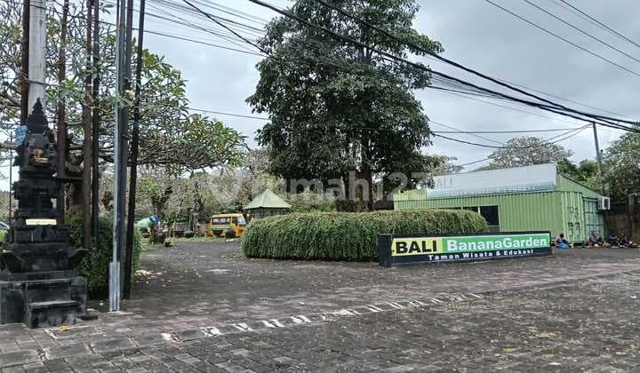 Tanah Siap Bangun Jalan 14 Meter View Laut 10 Menit Ubud
