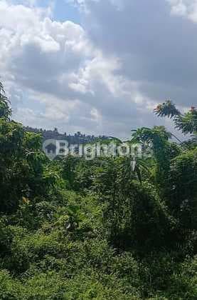 Tanah 6007 Sqm Main Road Campuan Ubud Cocok Hotel Villa Komersil