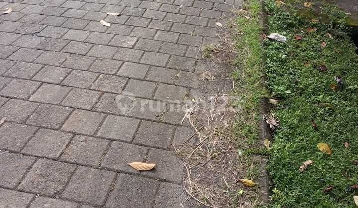 Land Suitable for Villa House with 8-Meter Road Access Tabanan Pa11