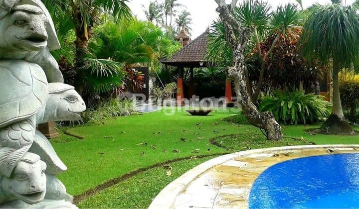 Villa 3BR Landsize 900 M2 Walking Distance To Sanur Beach