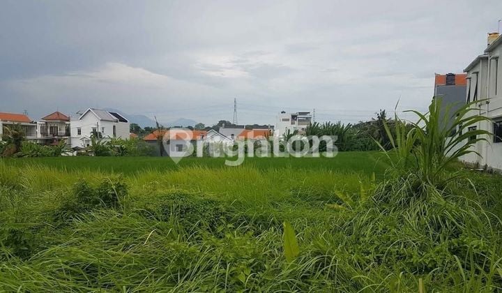 A LAND FOR RENT FOR 35 YEARS IN KEDUNGU: 120 M2 NEAR KEDUNGU BEACH