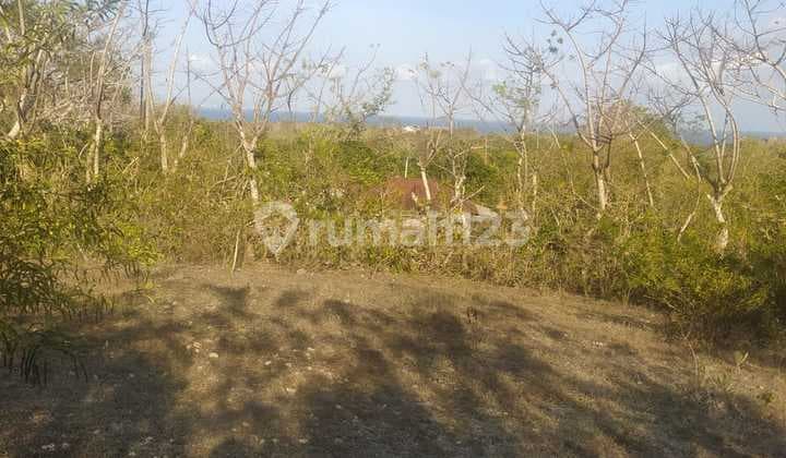 Tanah Sawangan View Laut 10 Are Dekat Geger Beach Murah Nusa Dua