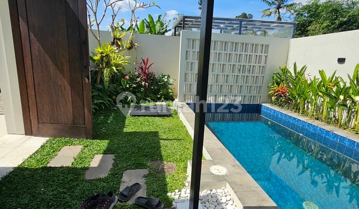 Brand New Villa 3.Kamar View Sawah Jalan Kaki ke Pantai Kedungu