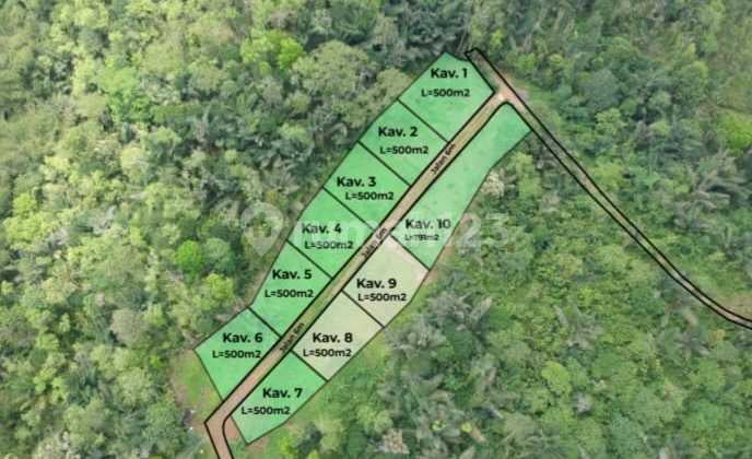500 Sqm Musang King Farm Land – 10 Minutes To Jatiluwih