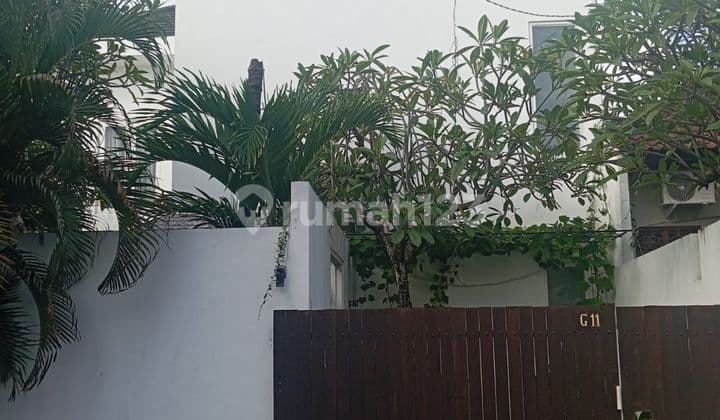 Rumah Siap Huni Padang Sambian 3 Kamar Hook Denpasar Bali Kiddy