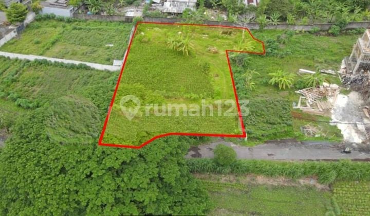 Sanur Commercial Land 1600 Sqm Close to Sunrise Beach