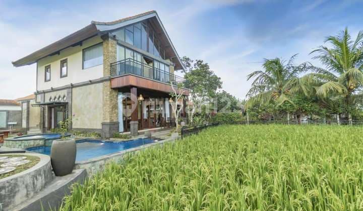 Ricefield View Villa 3 Bedrooms With Private Pool & Sunset Balcony
