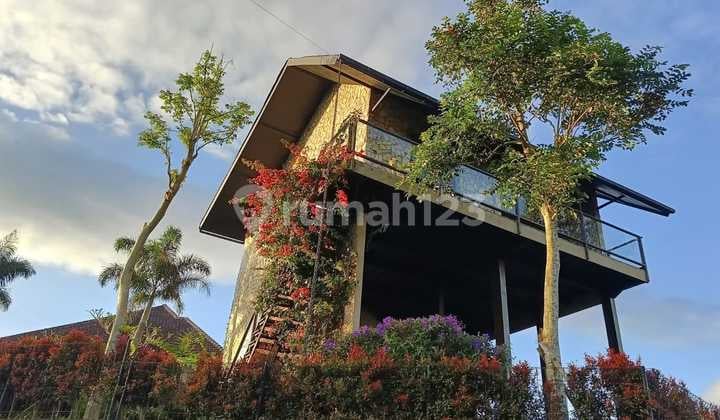 Villa 2 Kamar Di Munduk View Laut Gunung Tempat Sunyi Fullfurnish