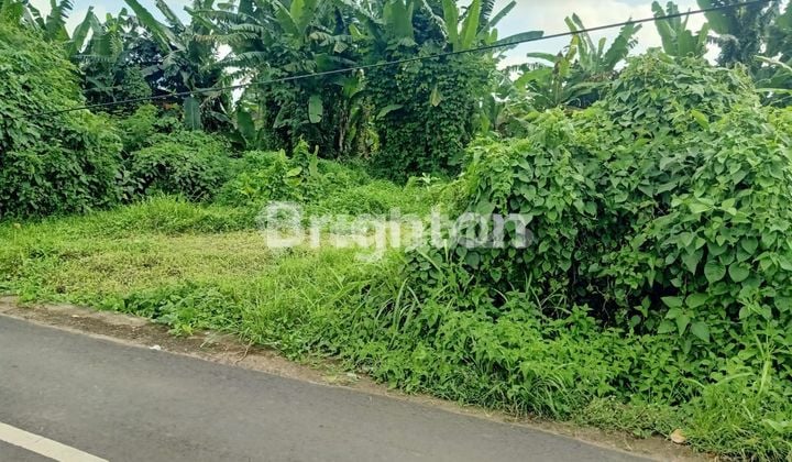 Tanah Murah Pinggir Jalan Pantai Kedungu Villa Rumah Tinggal