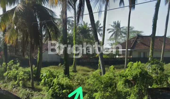 TANAH PINGGIR JALAN RAYA DENPASAR GILIMANUK LOS PANTAI 2280 M2