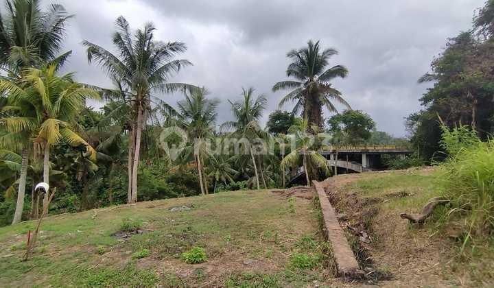 Riverside SHM Land 6.68 Sqm Gianyar Ubud Jungle & River View V287
