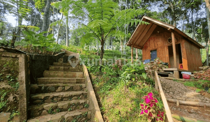 Dijual Kavling Staregis Harga Menarik Di Baranangsiang Bandung