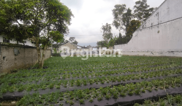 Teropong Bintang Boscha