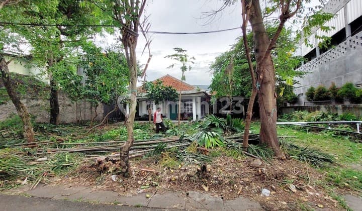 Dijual Kavling Cocok untuk Cluster Keluarga di Bintaro Jaksel