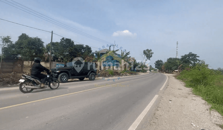 Tanah murah industri di jl raya cikande rangkasbitung dkt stasiun