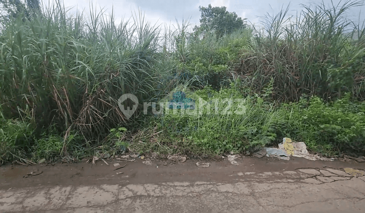 Tanah di Ds Cukanggalih - Curug Tangerang, Banten