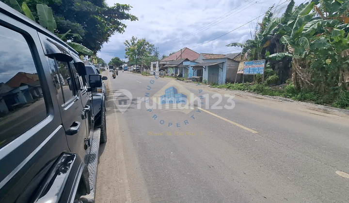 Tanah di Jalan Raya Cikande Rangkasbitung, Serang, Banten
