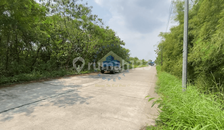 Land in the Graha Balaraja Industrial Area - Tangerang