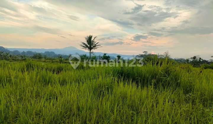 Tanah Produktif Luas, Siap Dikapling Ditemanggung