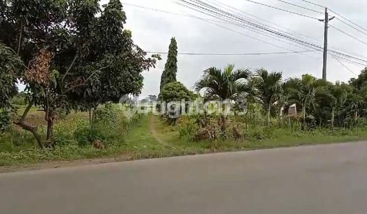 TANAH DI SEGERA DI JALAN UTAMA TAYU - JUWANA SANGAT STRATEGIS