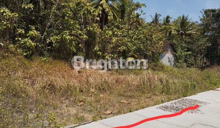 TANAH KAPLING MURAH DEKAT POLRES WATES