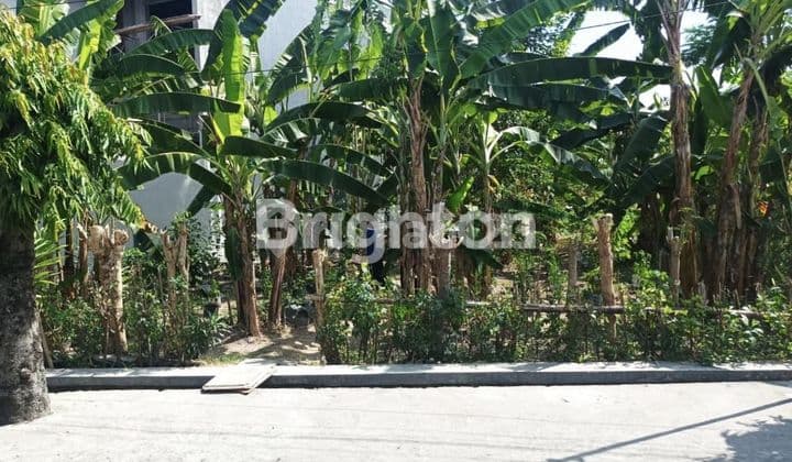 TANAH STRATEGIS AKSES KEMANA MANA TERJANGKAU