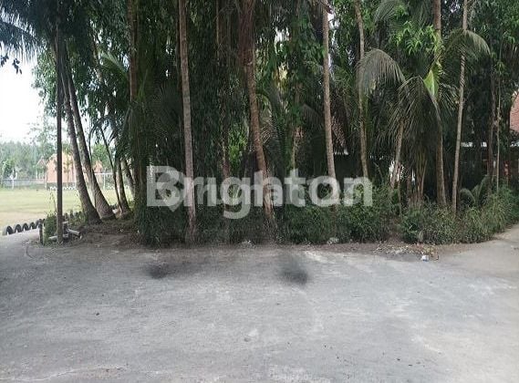 TANAH MURAH DI KULON PROGO