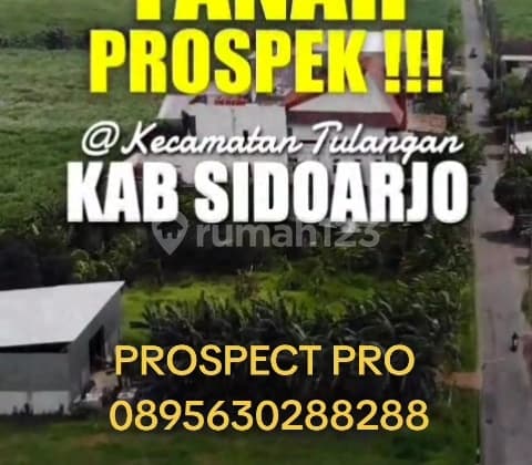 Lahan Tulangan Sidoarjo