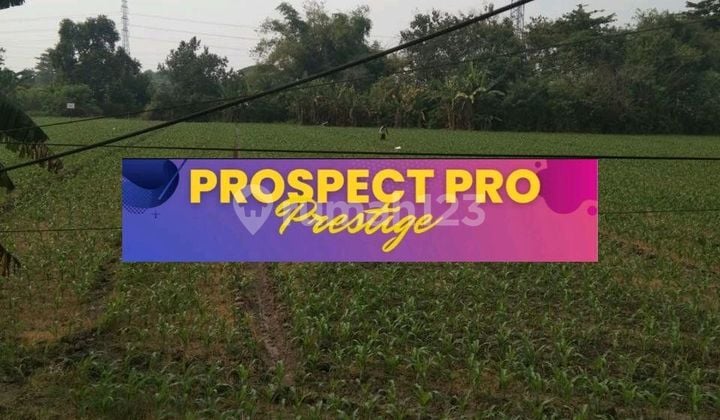 Tanah Premium Untuk Perumahan Tanah Premium Untuk Perumahan