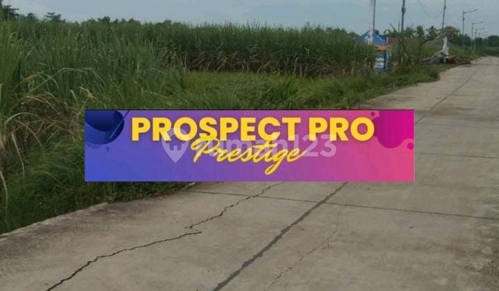 Tanah Peruntukan Perumahan Tanah Peruntukan Perumahan