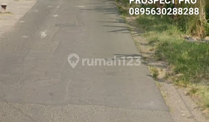 Lahan Pungging Mojosari