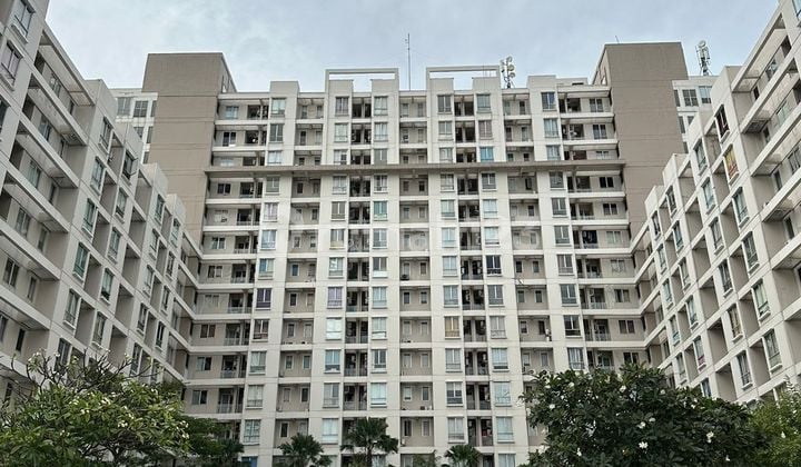 Dijual Apartemen Eastcoast Residence Sebelah Hokky Pakuwon City Penthouse