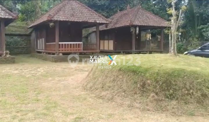 TANAH DI PUPUAN TABANAN - BALI COCOK UNTUK VILLA ATAU TEMPAT WISATA