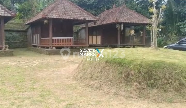 TANAH DI PUPUAN TABANAN - BALI COCOK UNTUK VILLA ATAU TEMPAT WISATA