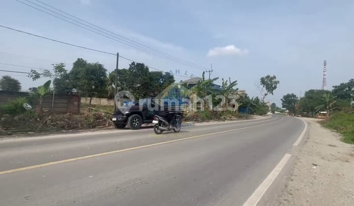 Jual Tanah Industri 4515m Shm Di Cempalng Jawilan Serang