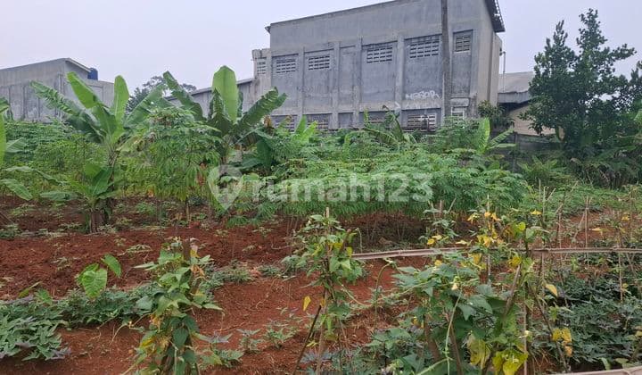 Jual Tanah 1796m Shm Padurenan Gunung Sindur.bogor