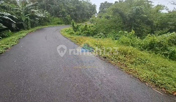 Jual Tanah 1ha Shm Murah Di Margamulya Dekat Tol Cileles Lebak